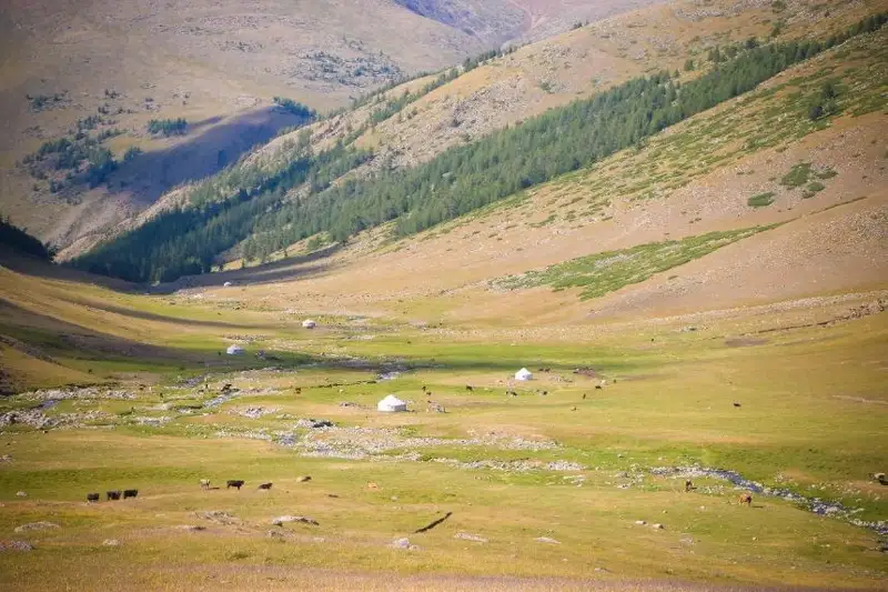 باقىتجول كاكەش. التىن قازىق - اتاجۇرتقا كوشكەن اۋىل تۋرالى اڭگىمە