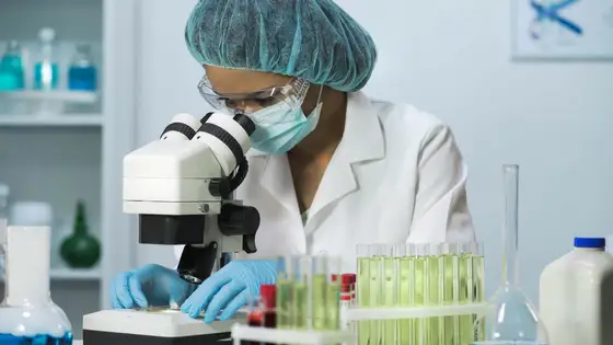 وتاندىق جوبا ۇزدىك وندىققا ەندى