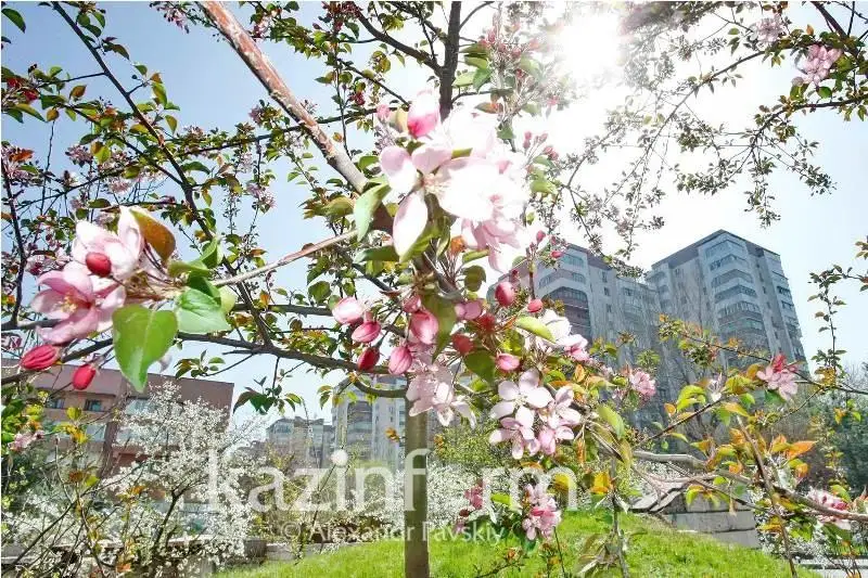 قازاقستاندا دەمالىس كۇندەرى 25 گرادۋسقا دەيىن جىلى بولادى