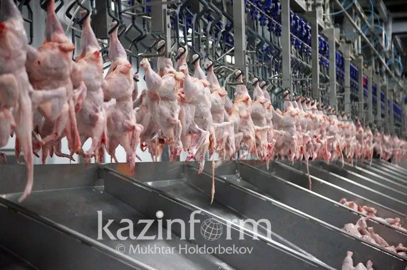 2025 йилга бориб Қозоғистон парранда гўштини импорт қилмайди