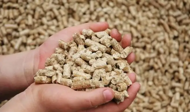 卡拉干达州将开始生产环保型复合饲料