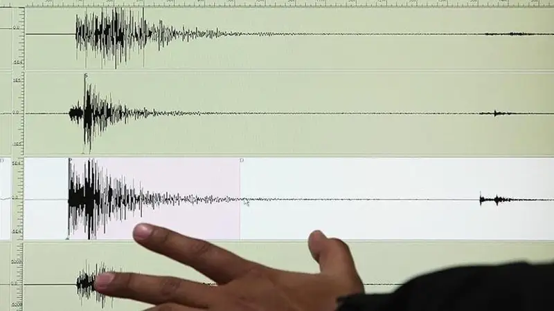 جاپونيادا جەر سىلكىنىسى جيىلەدى