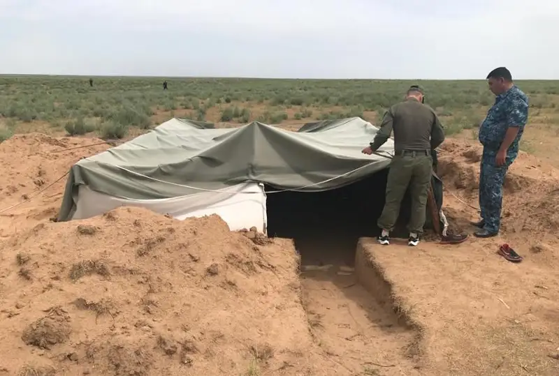 Свыше 20 иностранцев занимались незаконным сбором лекарственной ферулы