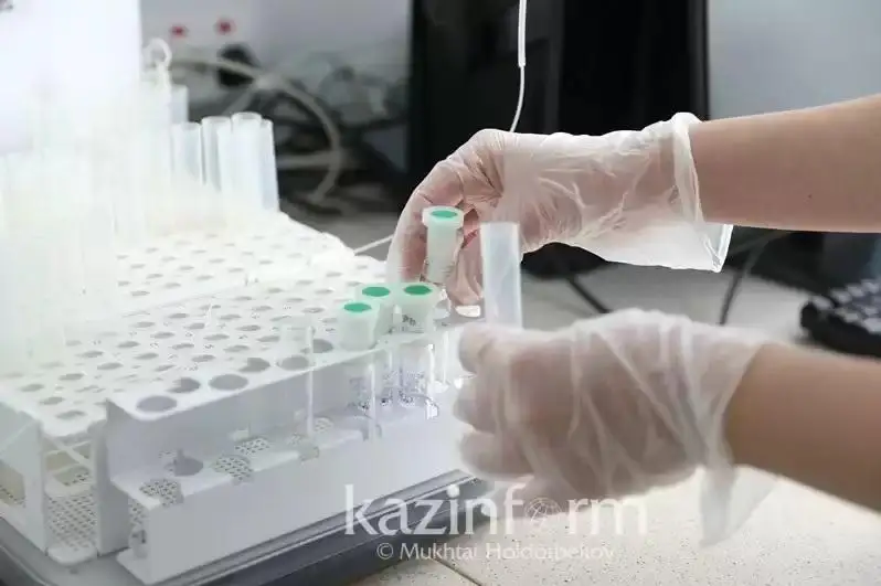 Соғлиқни сақлаш вазирлиги қозоғистонликларни Мисрда денге иситмаси тарқалиши эҳтимоли ҳақида огоҳлантирди