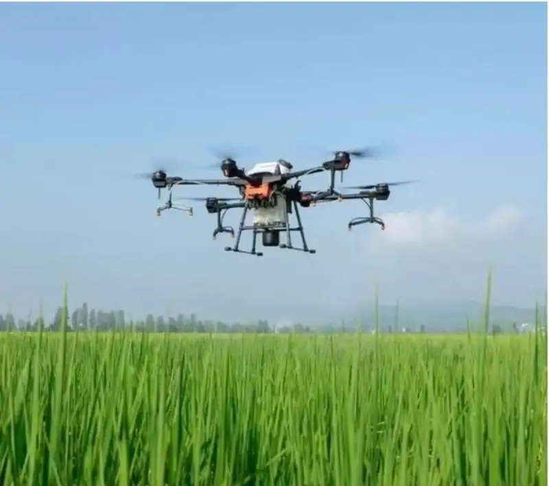 جامبىل وبلىسىنىڭ شارۋالارى ەگىستىك القابىنا درونمەن تىڭايتقىش سەۋىپ ءجۇر