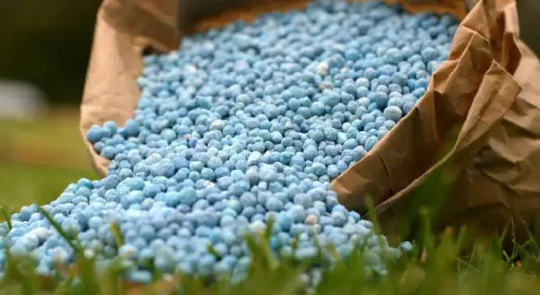 ۇكىمەت ەلىمىزدە وندىرىلەتىن تىڭايتقىشتاردى سىرتقا شىعارۋعا تىيىم سالماق