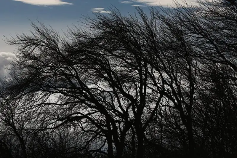 Синоптиклар икки ҳудудда огоҳлантириш эълон қилди