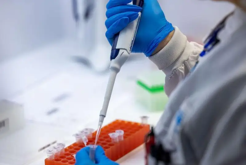 Вьетнамда маймун чечаги вируси билан касалланган биринчи ҳолат аниқланди