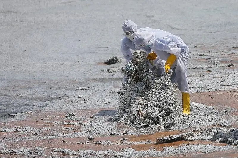Шри-Ланка қирғоқлари юк кемаси ҳалокати натижасида хавфли ахлатга тўлиб кетди