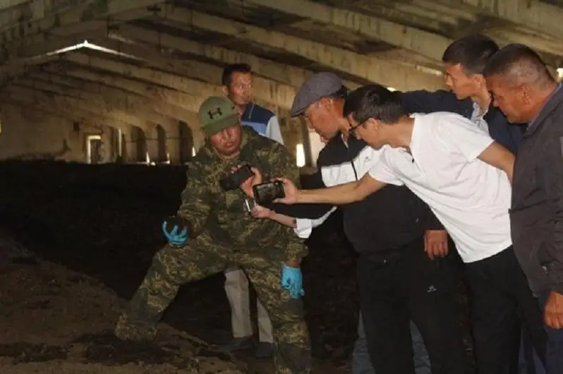 Туркистон вилоятида чувалчанг бизнеси ривожланмоқда