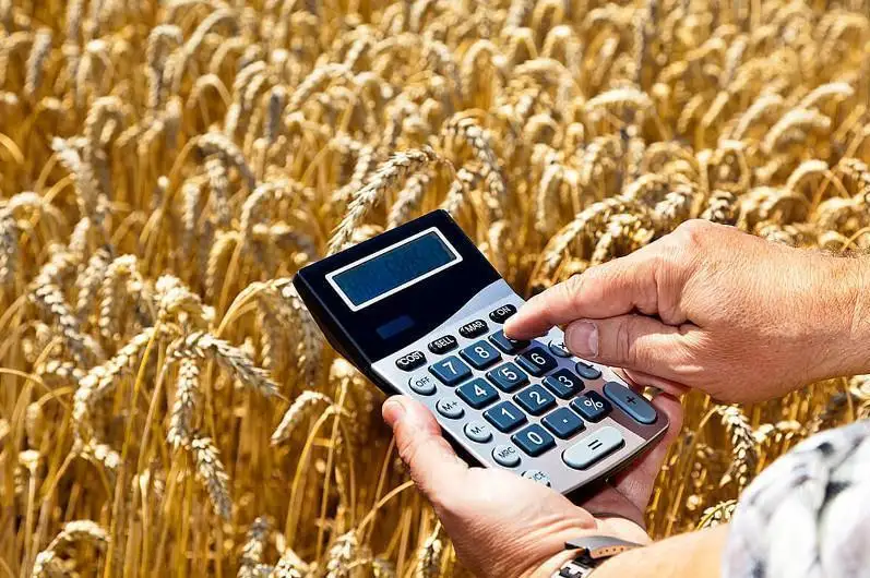 前五个月哈国小麦出口量增长16.5%