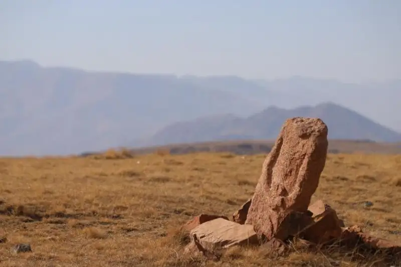 فوتوجۋرناليست مەركىدەگى بالبالداردى مەملەكەت قامقورلىعىنا الۋدى ۇسىندى