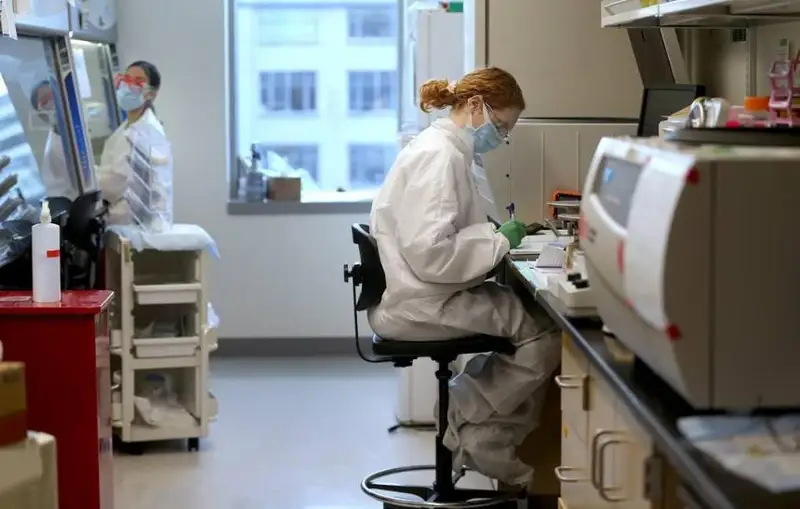 ЖССТ маймун чечаги тарқалишини иқлим ўзгариши билан боғлайди