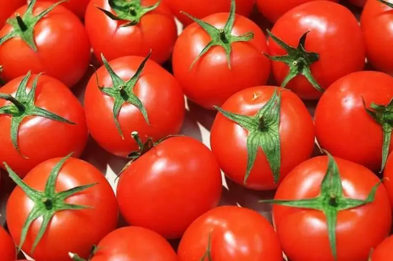Ўзбекистон 2021 йилда Россияга энг кўп миқдорда помидор экспорт қилган
