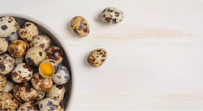 بودەنە جۇمىرتقاسىنىڭ پايداسى مەن زيانى قانداي؟