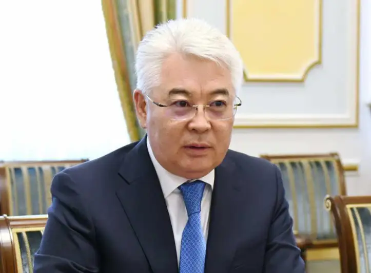 外交部长谈总统访华之行：在新阶段加强友谊和伙伴关系
