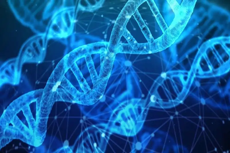 WHO启动全球人类基因组编辑注册计划