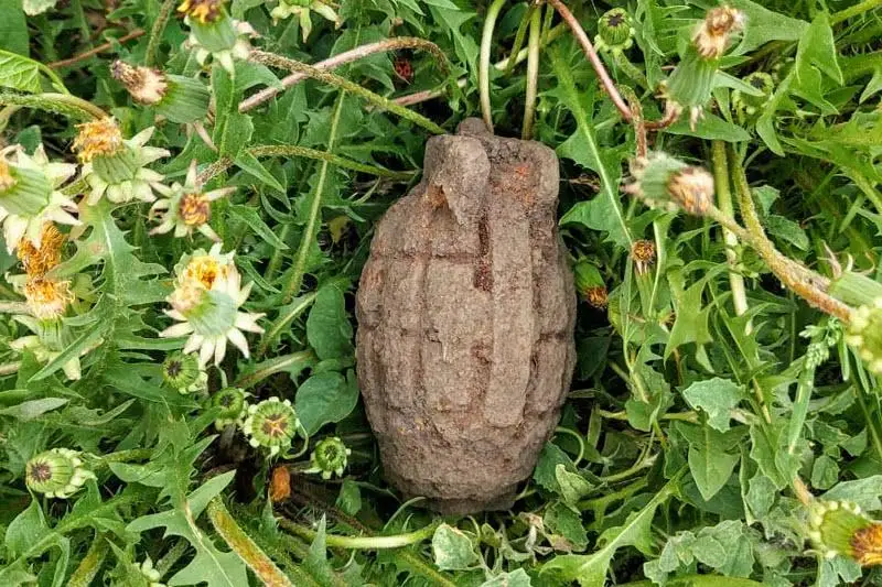 Шимолий Қозоғистонда болакай сабзовот ичидан биринчи жаҳон уруши пайтидаги гранатани топиб олди