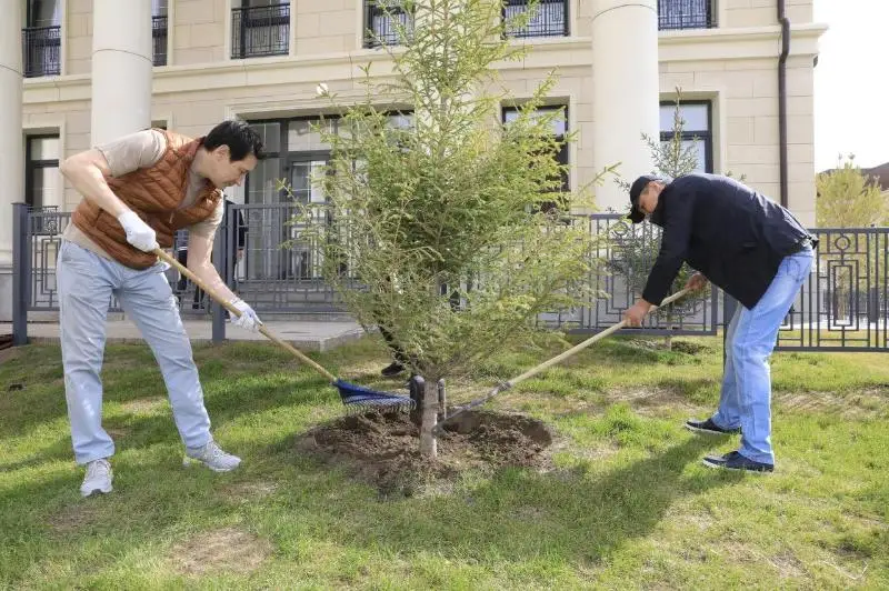 Коллектив ТРК Президента участвовал в республиканской экологической акции