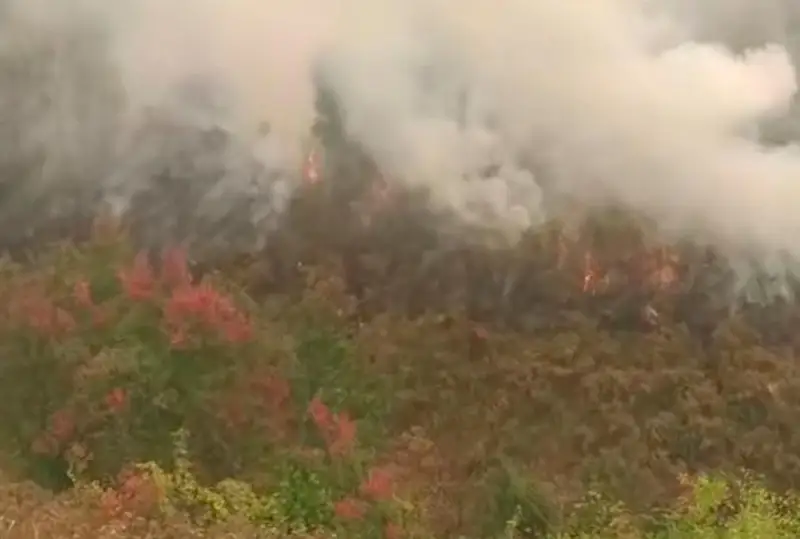 Вторые сутки продолжается борьба с огнем в горной местности района Алтай