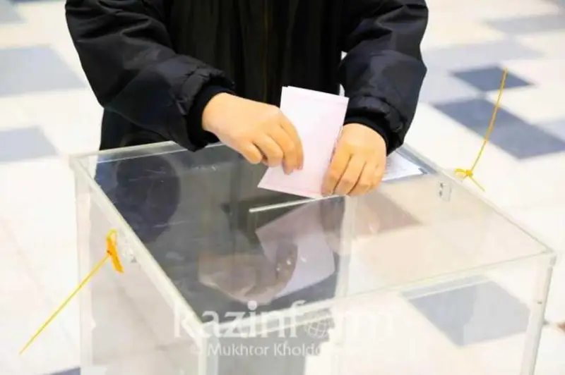 议会选举：海外选民近73%参与投票