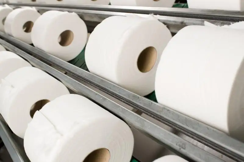 В Нур-Султане закрыли завод по производству бумажных полотенец и туалетной бумаги