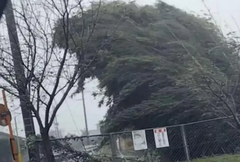 Япониядаги тўфон туфайли 200 мингга яқин уй электр таъминотисиз қолди