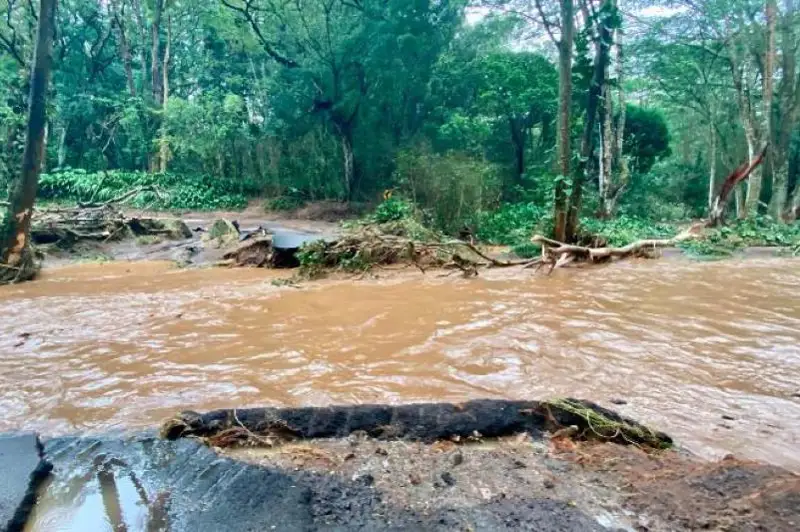 Гавайида фавқулодда ҳолат эълон қилинди