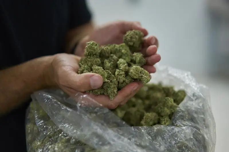 За сбыт гашиша в крупном размере осуждены два астанчанина