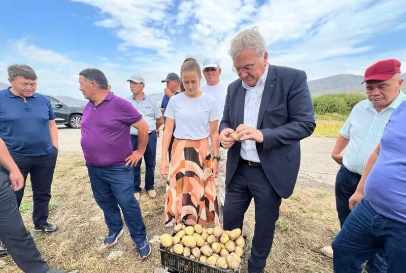 Чет эллик сармоядорлар Жетису вилоятида фри картошкасини етиштиришни бошлайдилар