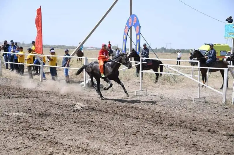 تارباعاتايدا ات بايگەسىنەن رەكورد جاڭاردى