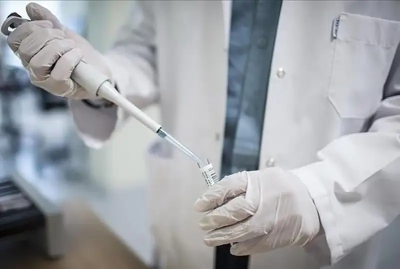 Первые случаи заражения оспой обезьян выявили в Бразилии и Греции