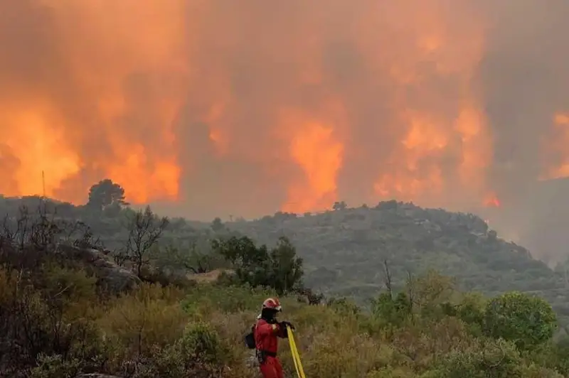 Испанияда ўрмон ёнғинлари ўчирилмоқда