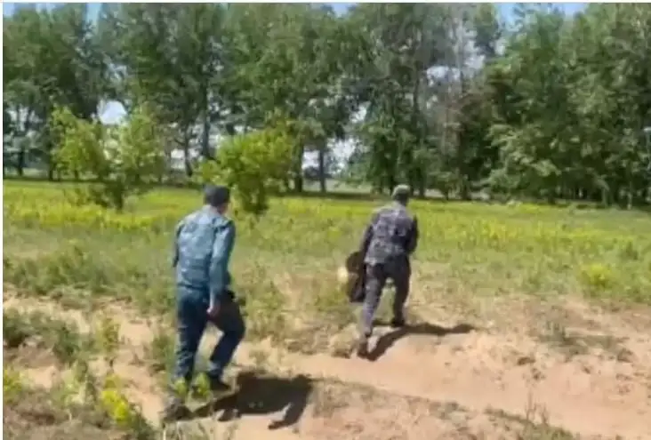 اباي وبلىسىنداعى تراكتورشىنىڭ ولىمىنە جۇرەك جەتكىلىكسىزدىگى سەبەپ بولعان