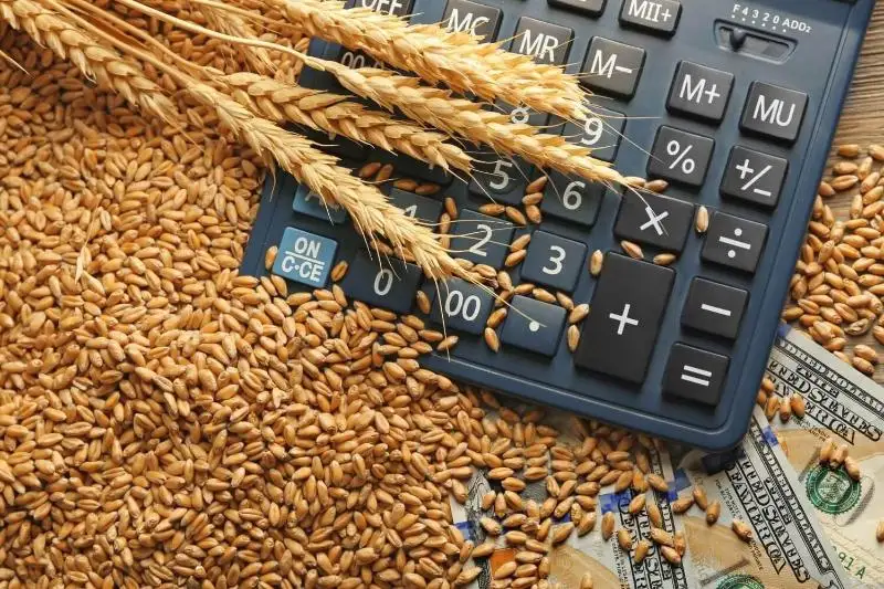 Бу йил Қозоғистонда қишлоқ хўжалиги учун ер солиғи тўланмайди