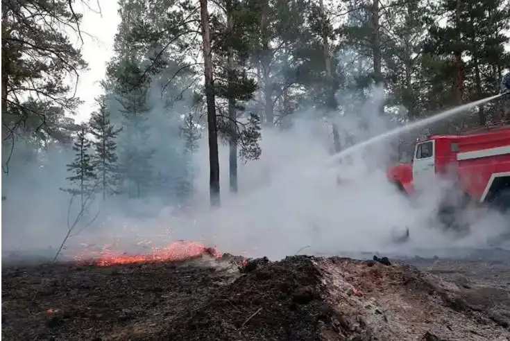 شىعىس قازاقستاندا تاعى ءبىر ورمان ورتەنىپ جاتىر