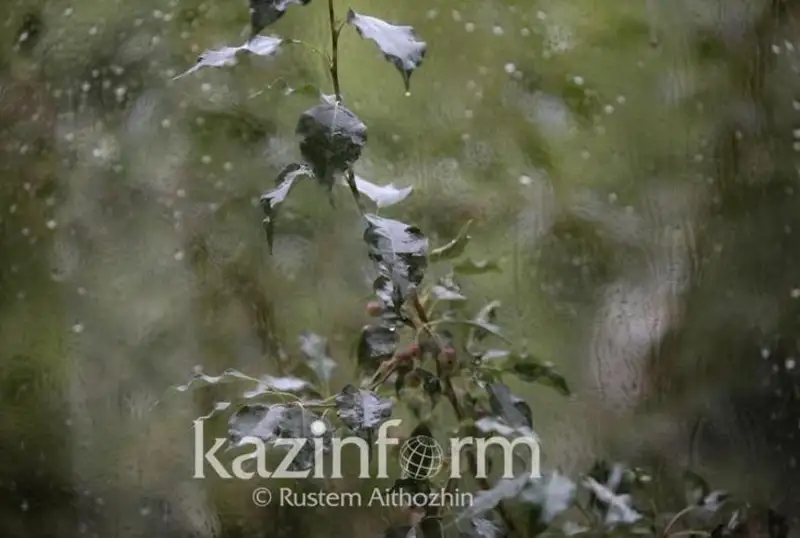 2-4 июн кунлари Қозоғистонда кескин совуқ бўлиши кутилмоқда