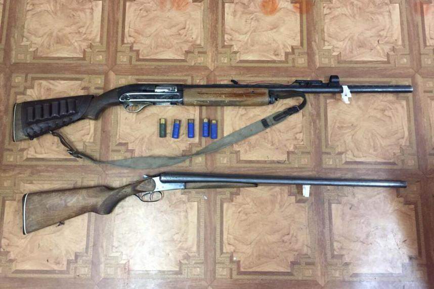 Жабайылармен жыныстық қатынас туралы YouTube видеосы