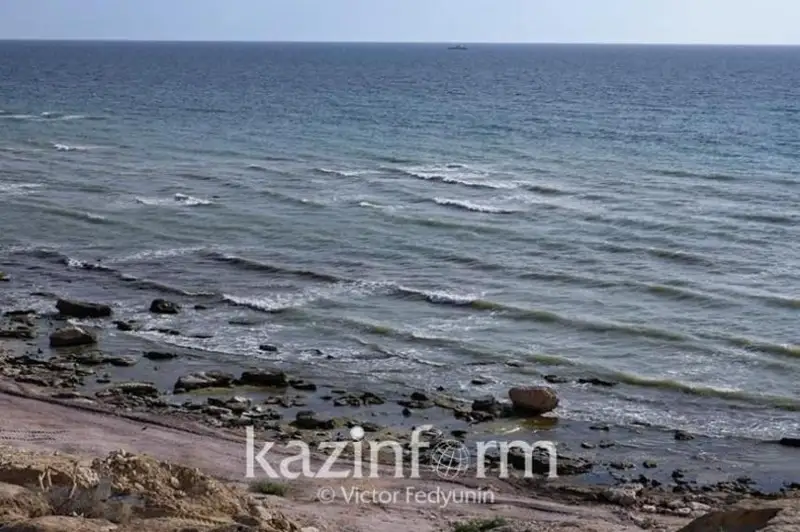 Государственный научный институт по исследованию Каспийского моря предложил создать Президент РК