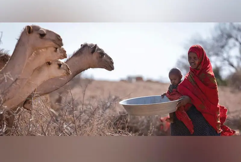 Африка мамлакатларида қурғоқчилик туфайли юқумли касалликлар кўпайган