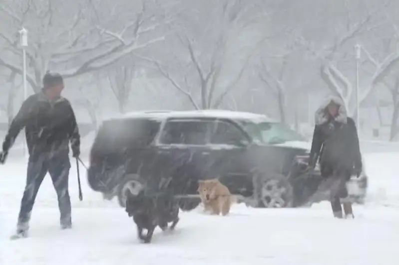 АҚШ шарқида кучли қор ёғиб, минглаб ҳаво рейслари қолдирилди