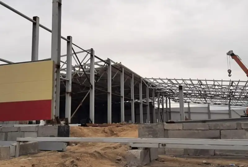 Заводы по производству мясных консервов и комбикормов возводят в Семее