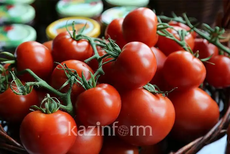 Elimizde kókónis arzandady