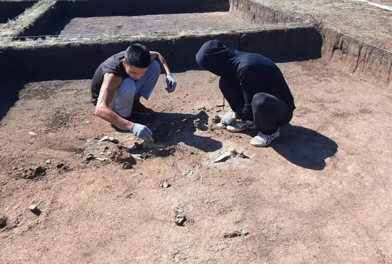 Aqmola oblysynda Botaı mádenıetine tıesili biregeı artefaktiler tabyldy