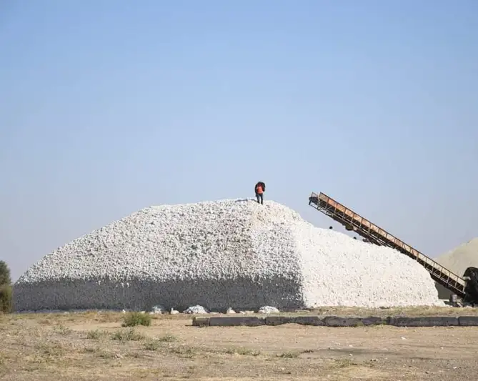 وڭتۇستىكتە ماقتانىڭ تونناسى 150 مىڭ تەڭگەدەن قابىلدانىپ جاتىر