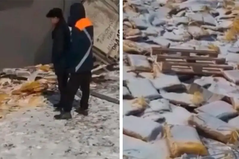 Qyzylorda oblysynda qus eti tıelgen júk kóligi aýdarylyp qaldy