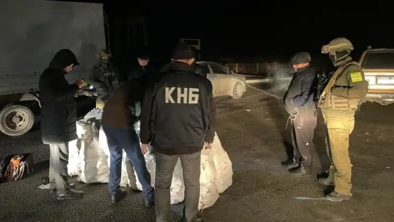 مەملەكەتكە 5 ميلليارد تەڭگە زالال كەلتىرگەندەر ۇستالدى