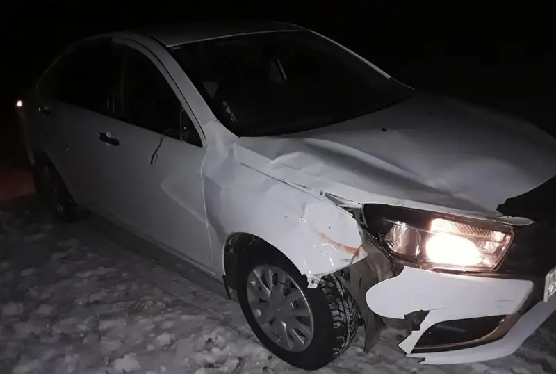 Два встречных автомобиля врезались в табун лошадей в СКО