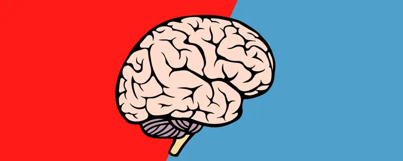 ەلۋدە ەلۋ ءادىسىن پايدالانىپ قالايشا كوبىرەك ەستە ساقتاۋعا بولادى