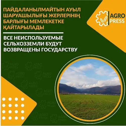 Все неиспользуемые сельхозземли будут возвращены государству - Правительство